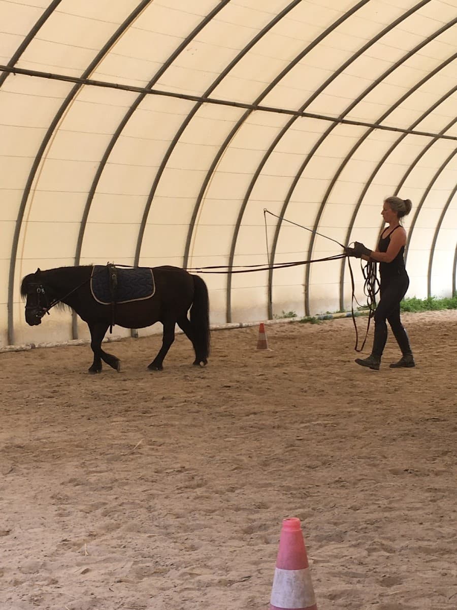 LES PONEYS NOMADES — photo 1