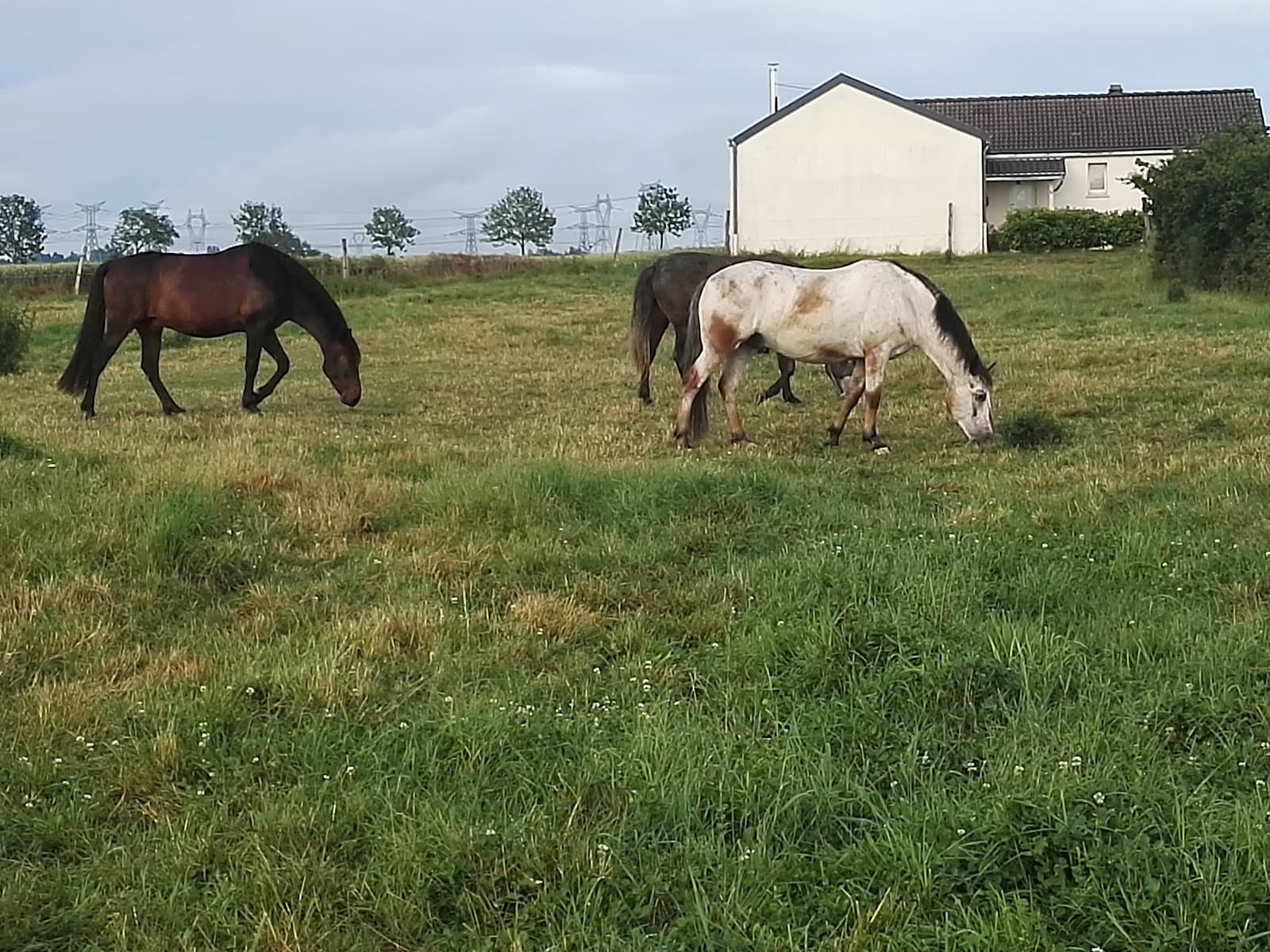 Les Prés Secs — photo 1