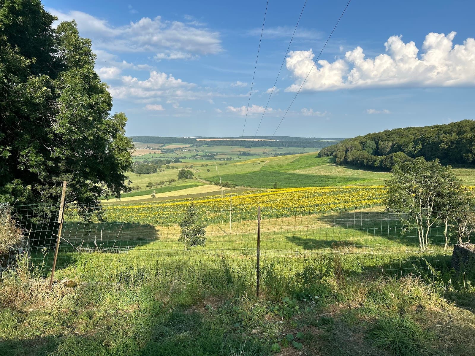 Les Randonnées des Noyers — photo 1