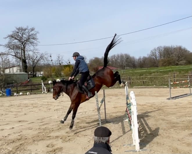 LM JUMPING — photo 1
