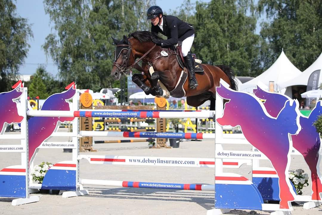 LP HORSES TEAM — photo 1