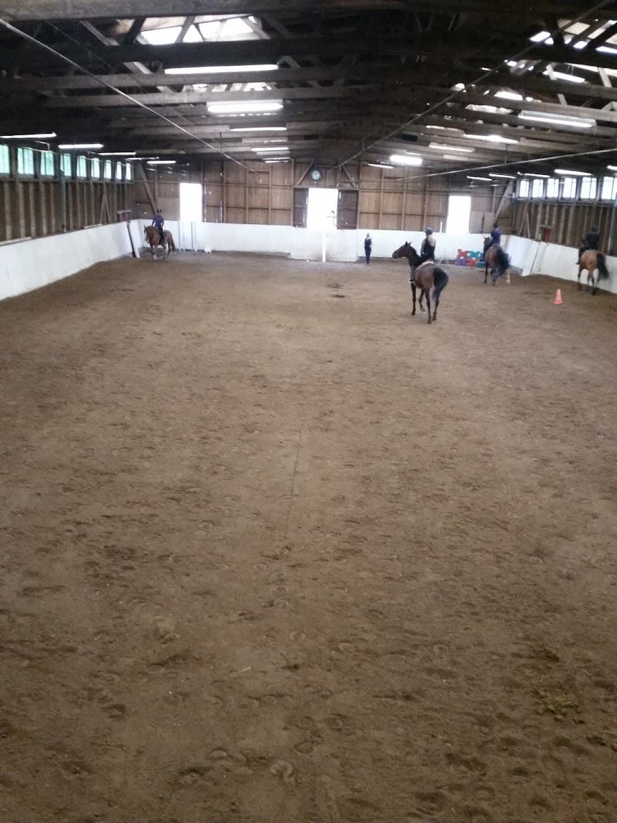 MANEGE D ONEX SARL — photo 1