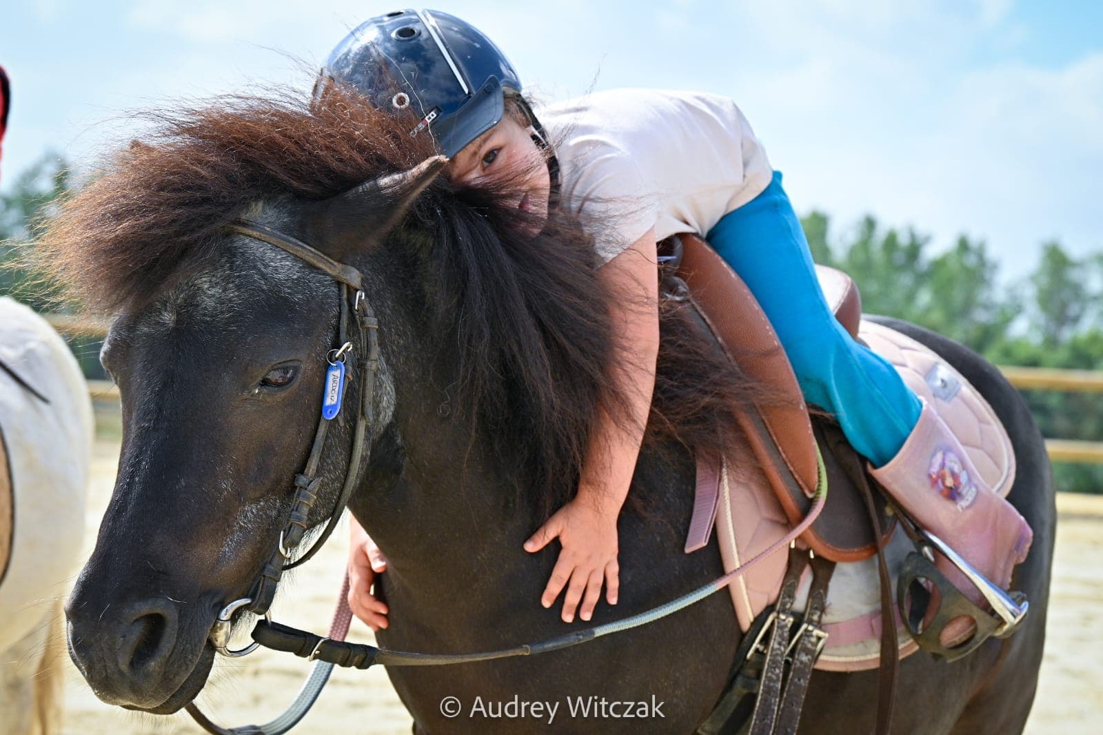 Ménaz Équitation — photo 1