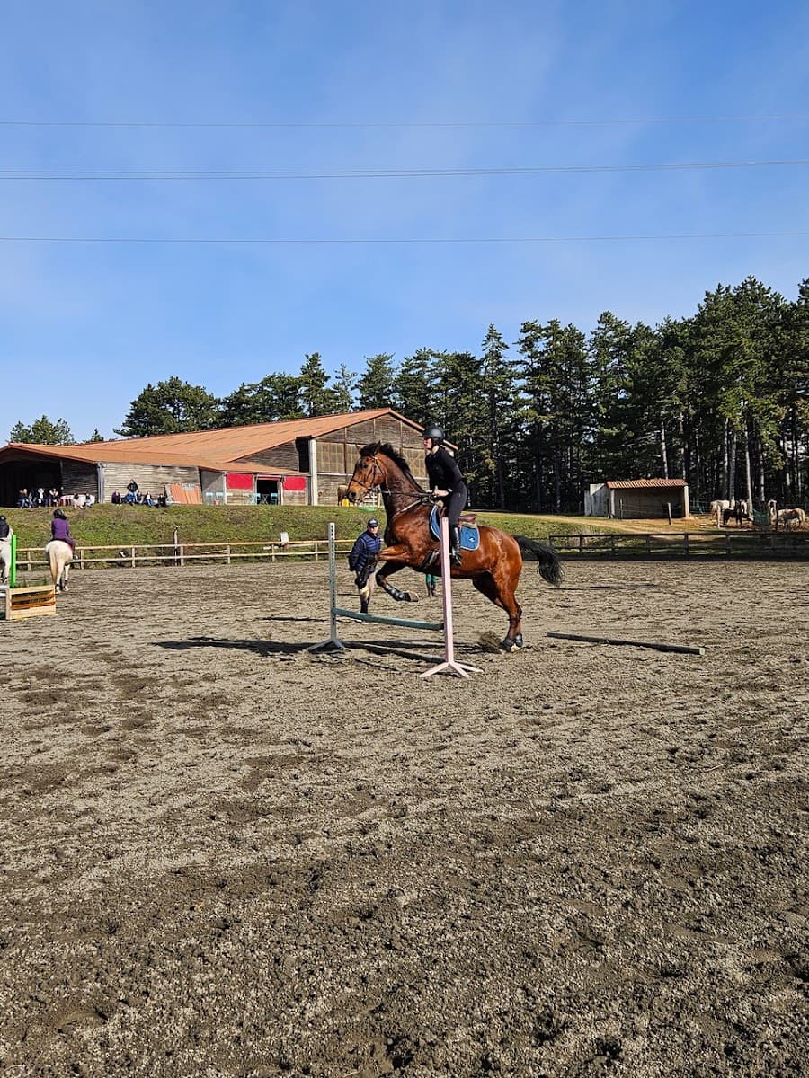 MENDE HORSE CLUB — photo 1