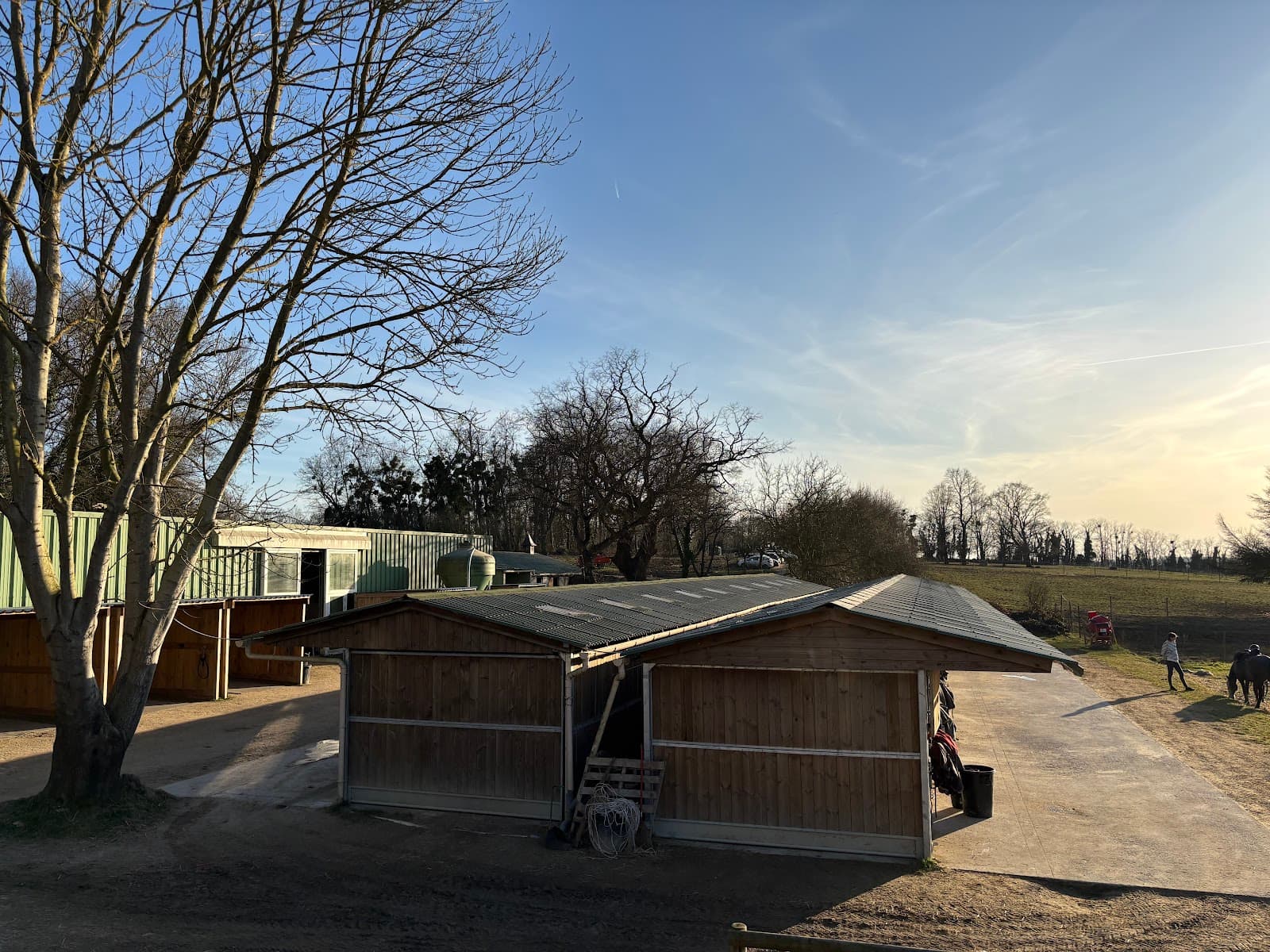 MONTISELLE HORSE — photo 1