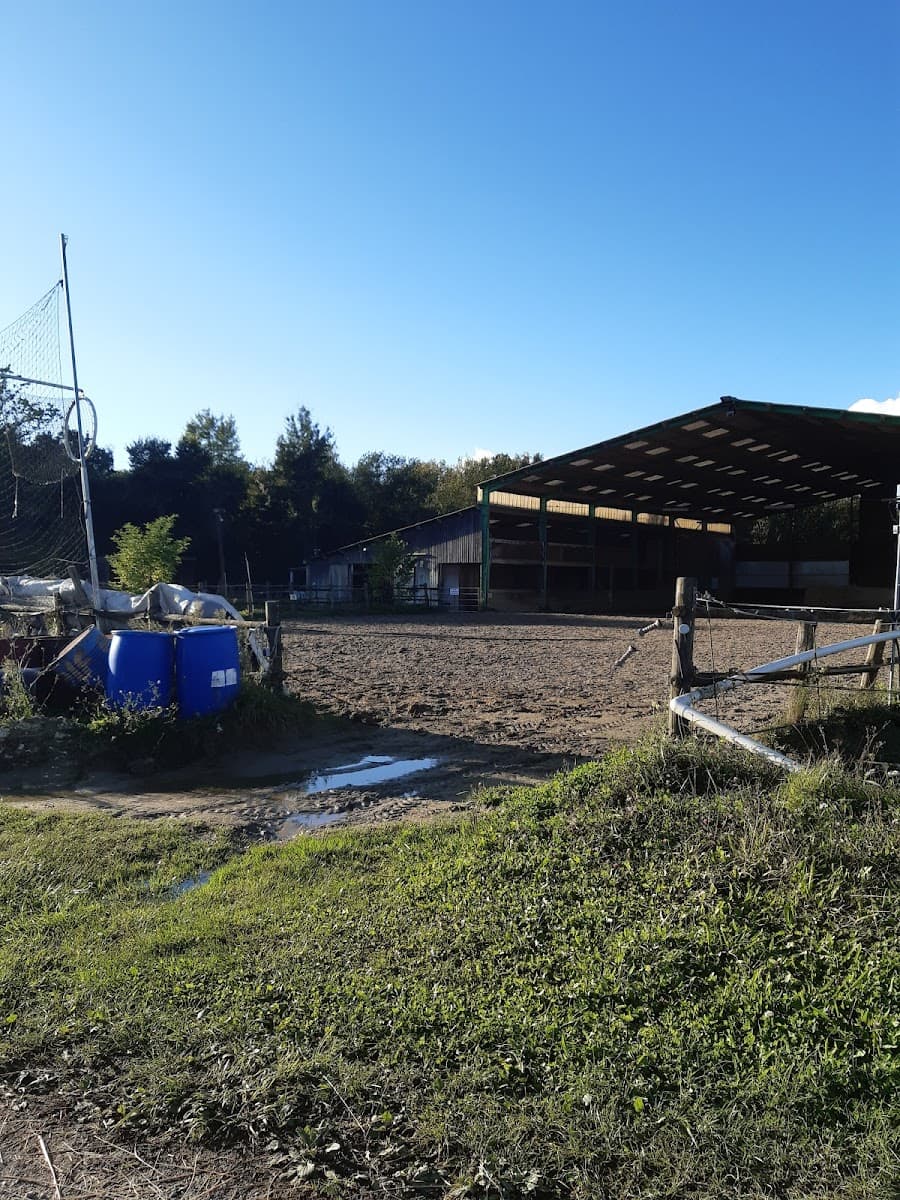 MYEQUIDREAM — photo 1