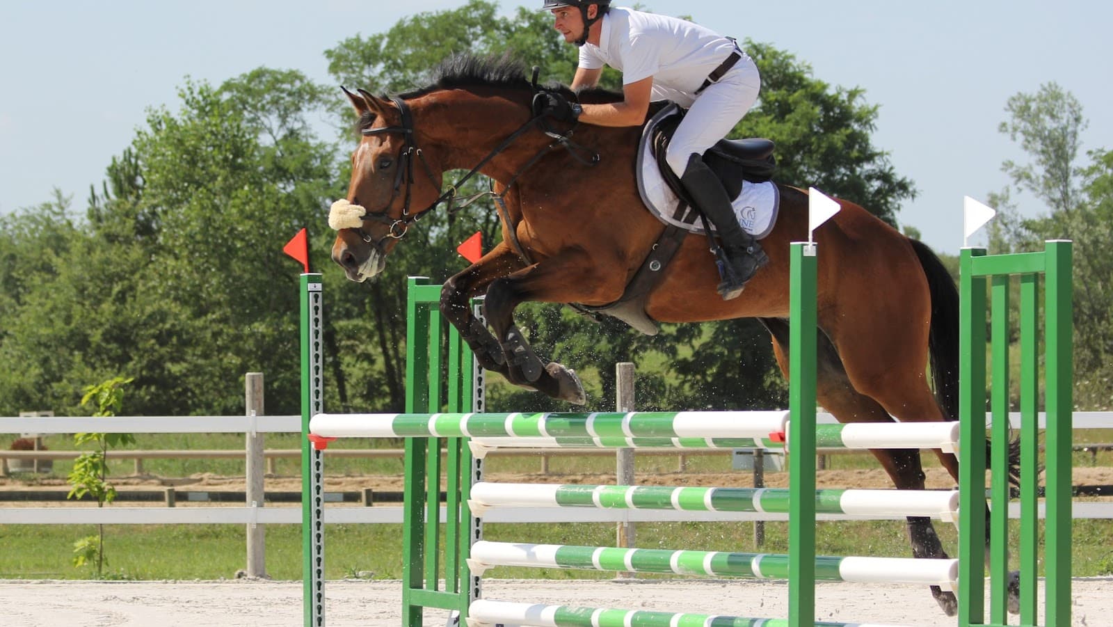OXER DE BELLEVUE — photo 1