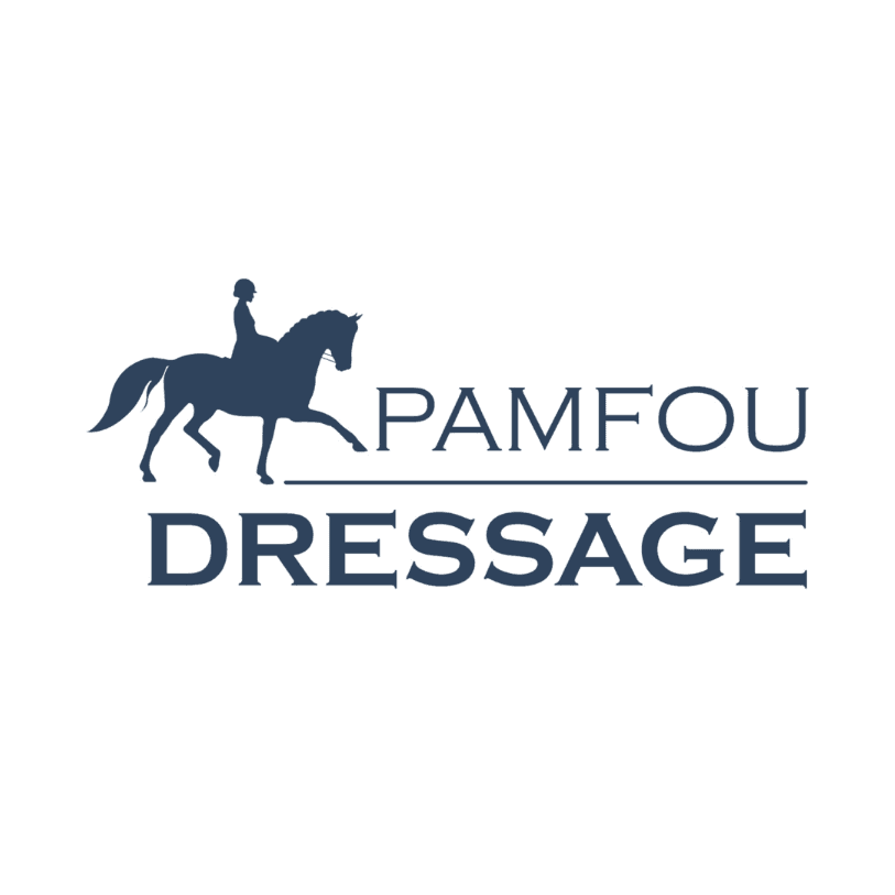 PAMFOU DRESSAGE — photo 1