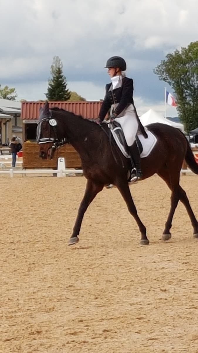 PARC DU CHEVAL EN RHONE ALPES — photo 1