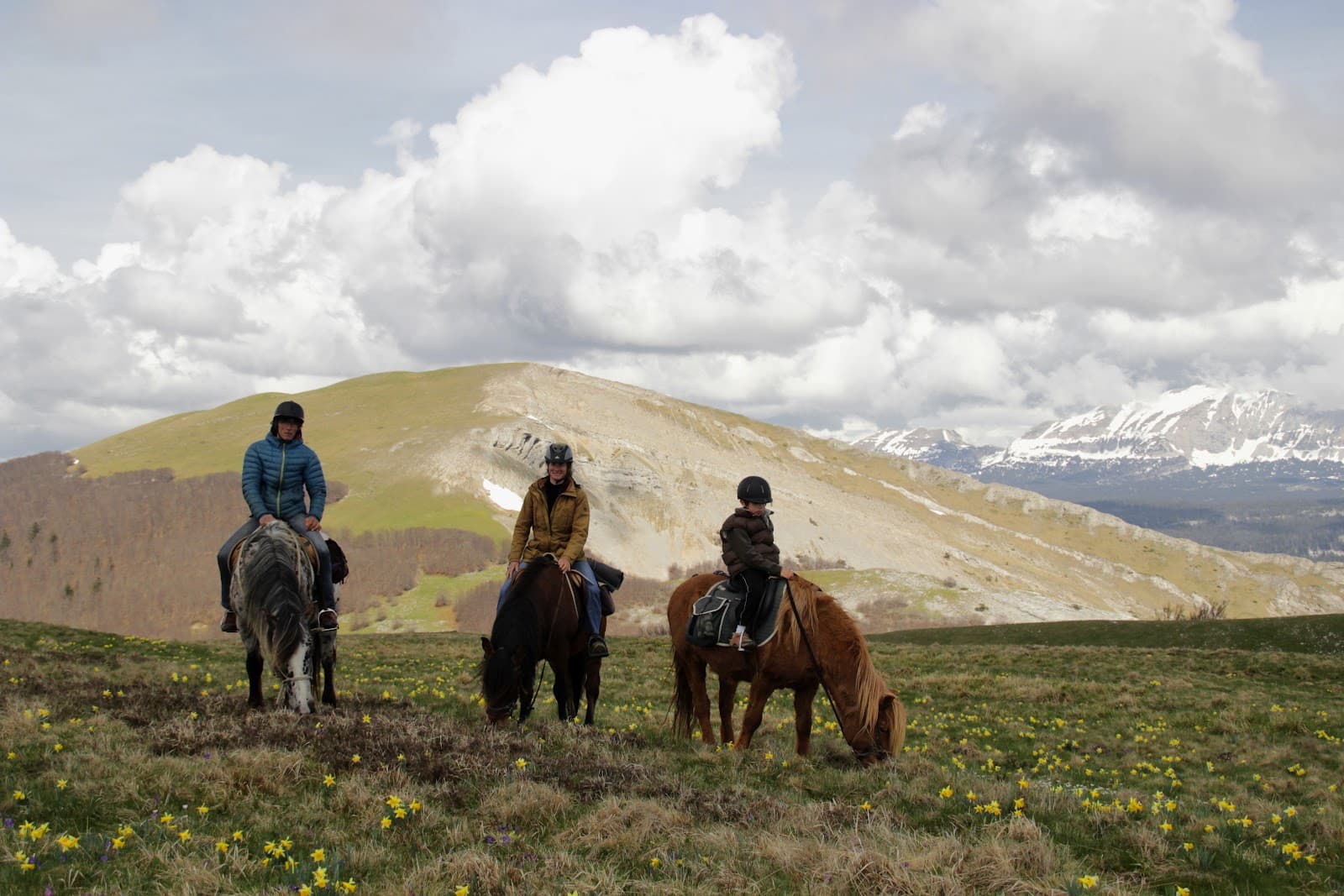 PAROLE DE CHEVAL — photo 1