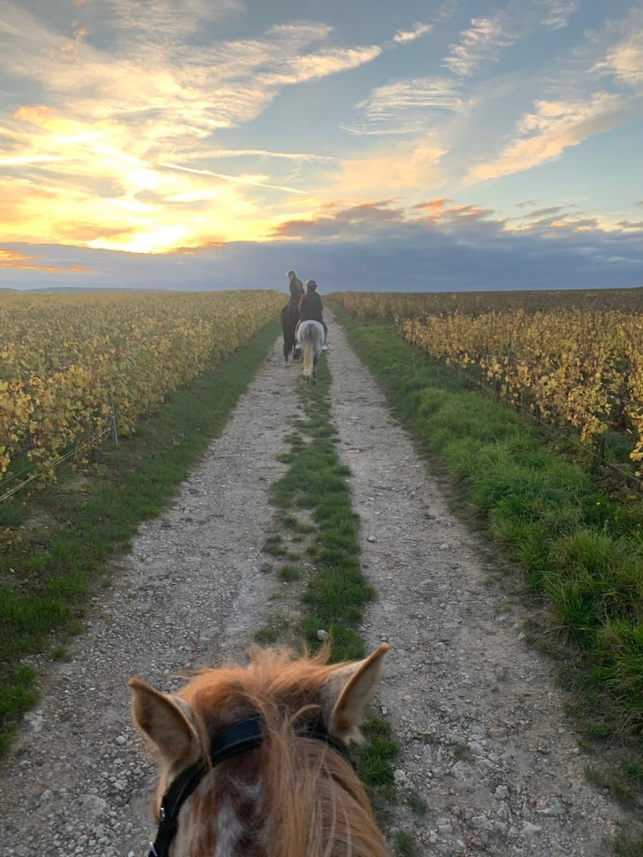 Pôle Equestre de Champagne — photo 1