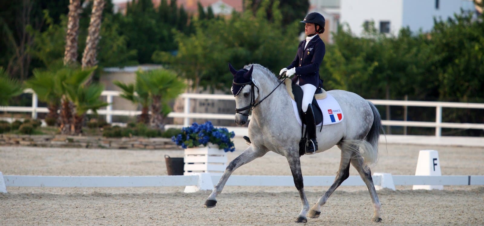 POLE EQUESTRE ISABELLE ET CARLOS PINTO — photo 1