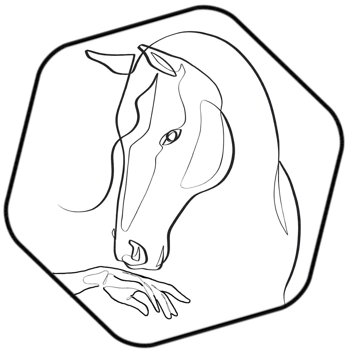 POLY PONEYS — photo 1