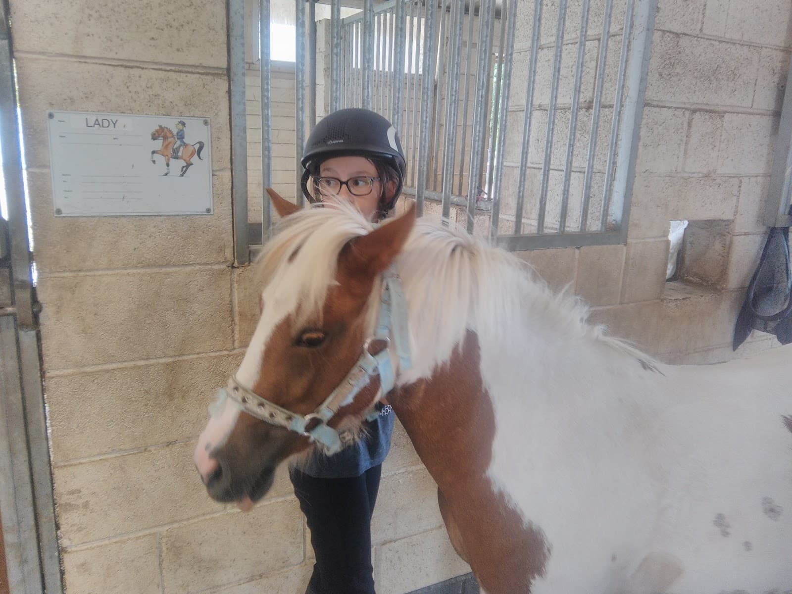 PONEY CLUB DE BEINHEIM — photo 1