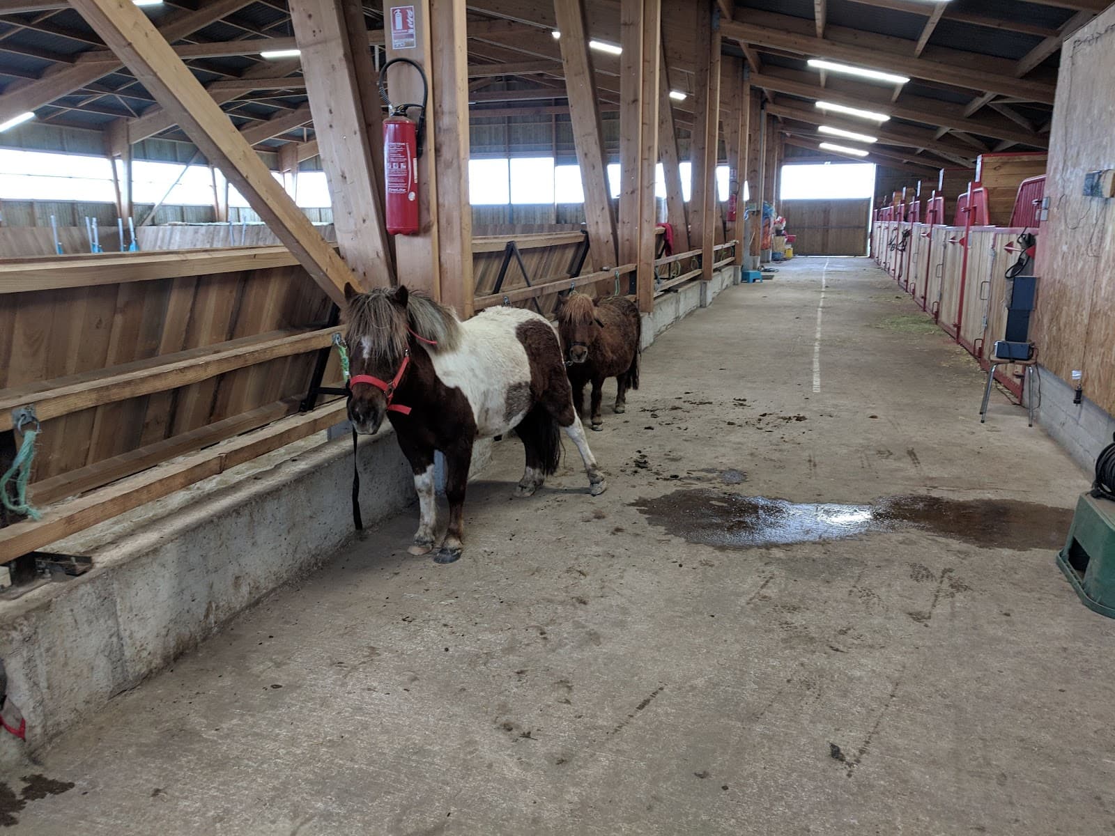 PONEY CLUB DE LA PLANEZE — photo 1