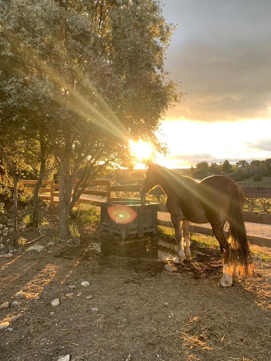 Poney Club de Lou Grès — photo 1
