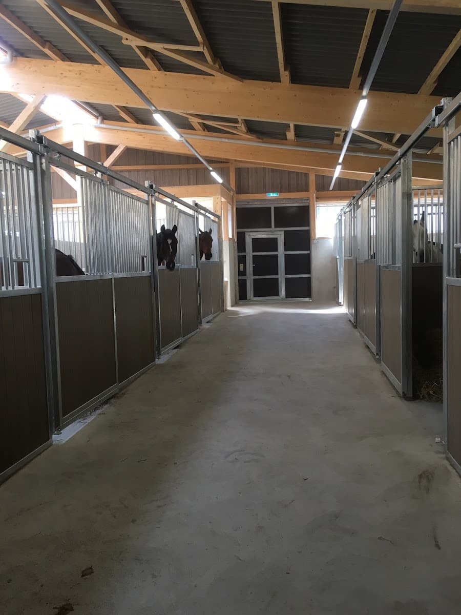 PONEY CLUB DE PRESINGE — photo 1