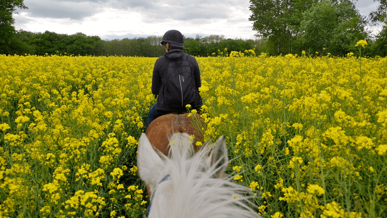 PONEY CLUB DE ST CHRISTOPHE — photo 1