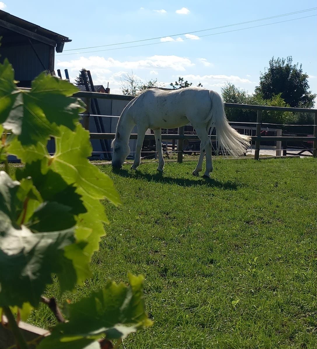 PONEY CLUB DES 2F — photo 1