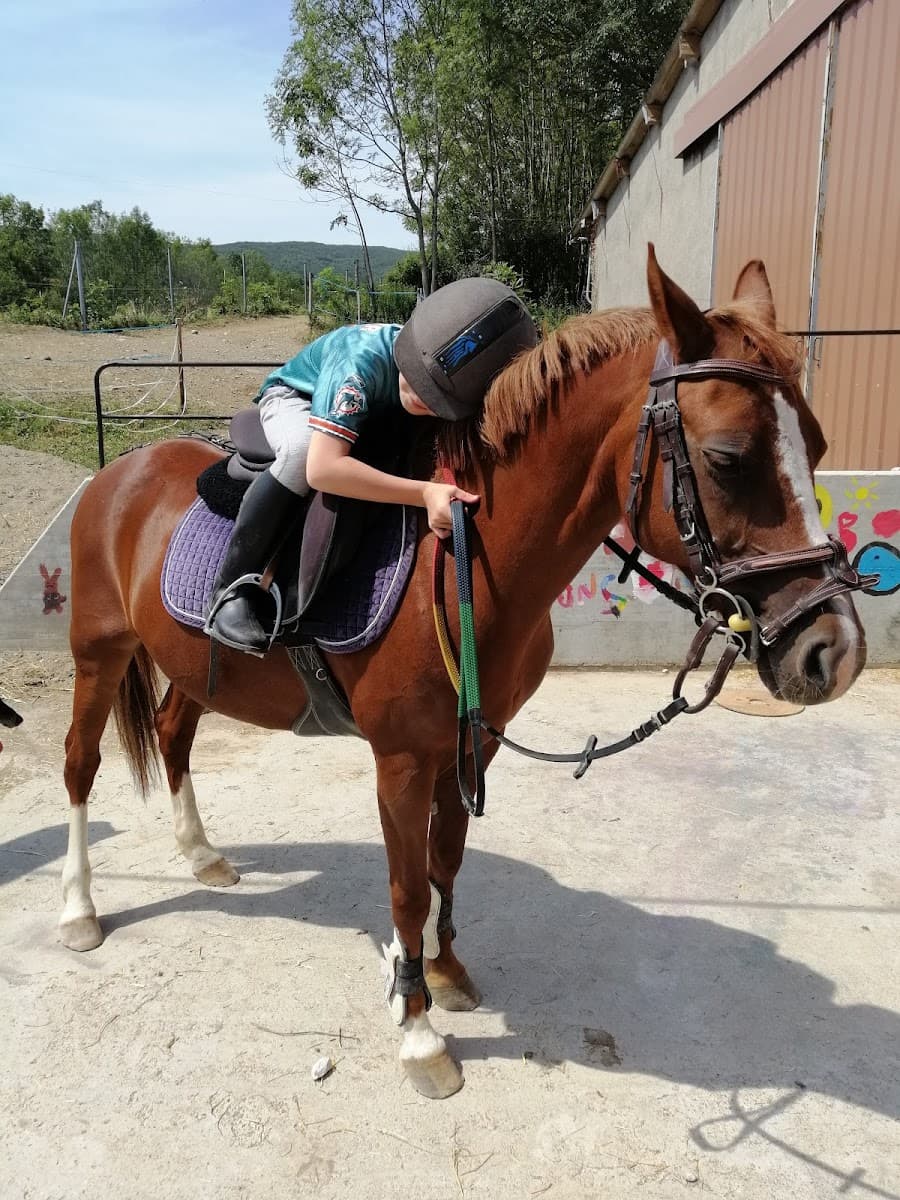 PONEY CLUB DES COSMO POONS — photo 1