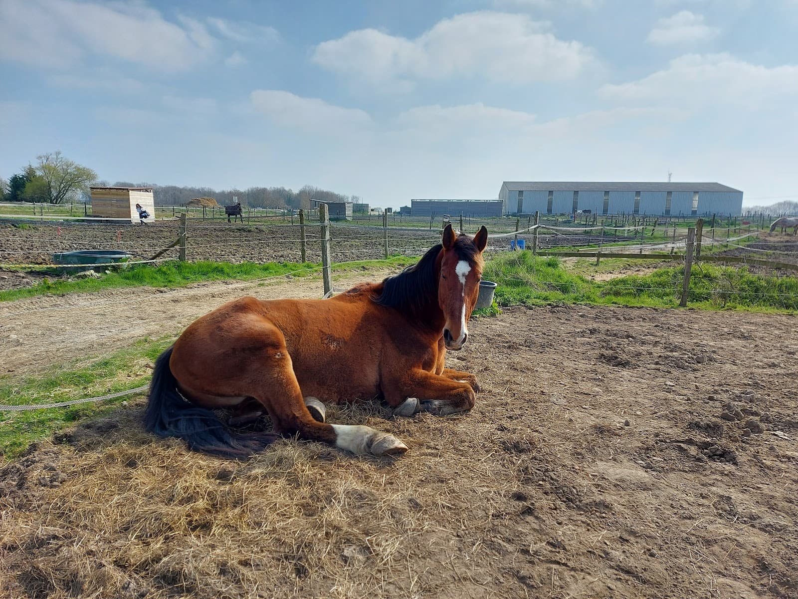 PONEY CLUB DES PETITES ECURIES — photo 1