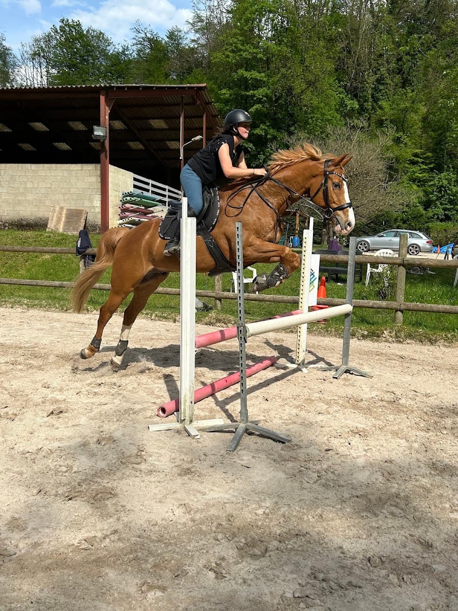 PONEY CLUB DU BREDA — photo 1
