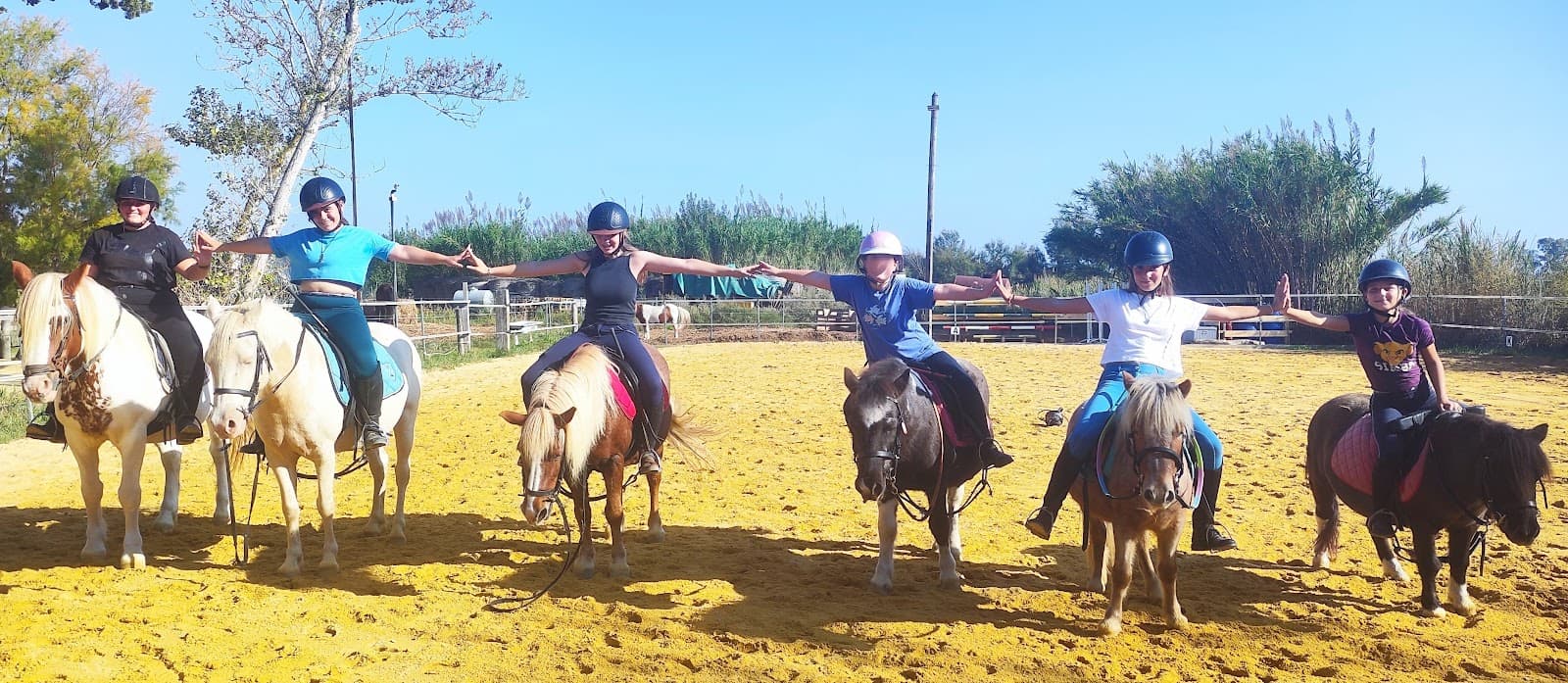 PONEY CLUB DU MAS MARIE — photo 1
