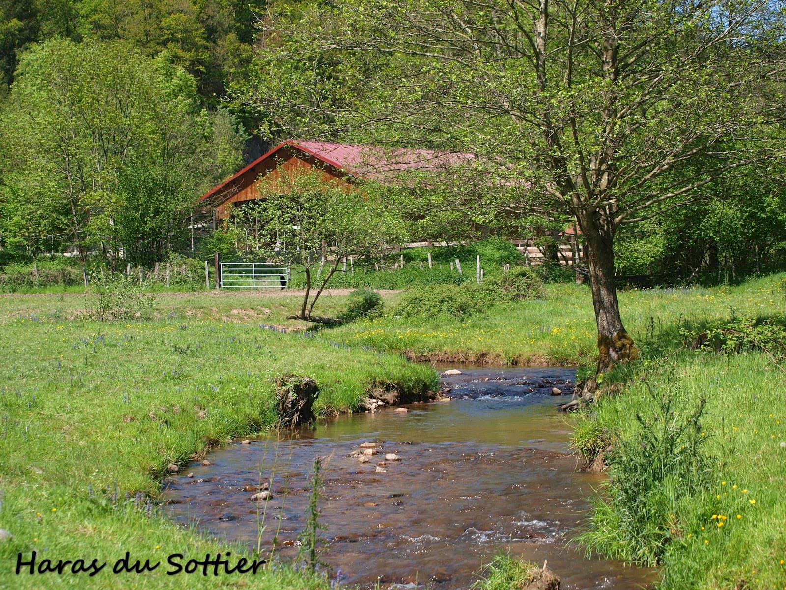 PONEY CLUB DU SOTTIER — photo 1
