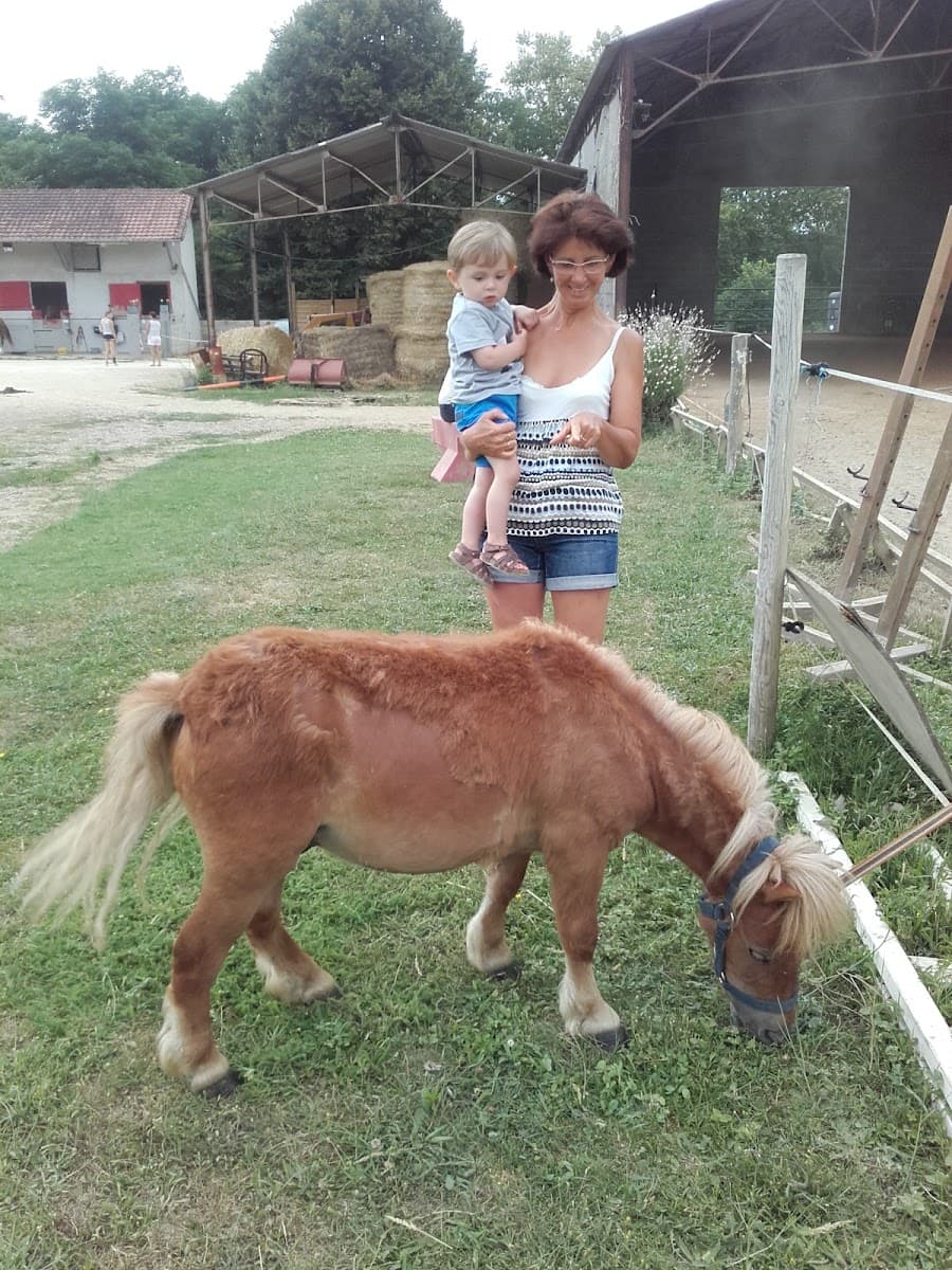 PONEY CLUB ET ECURIES DES 4 TEMPS — photo 1