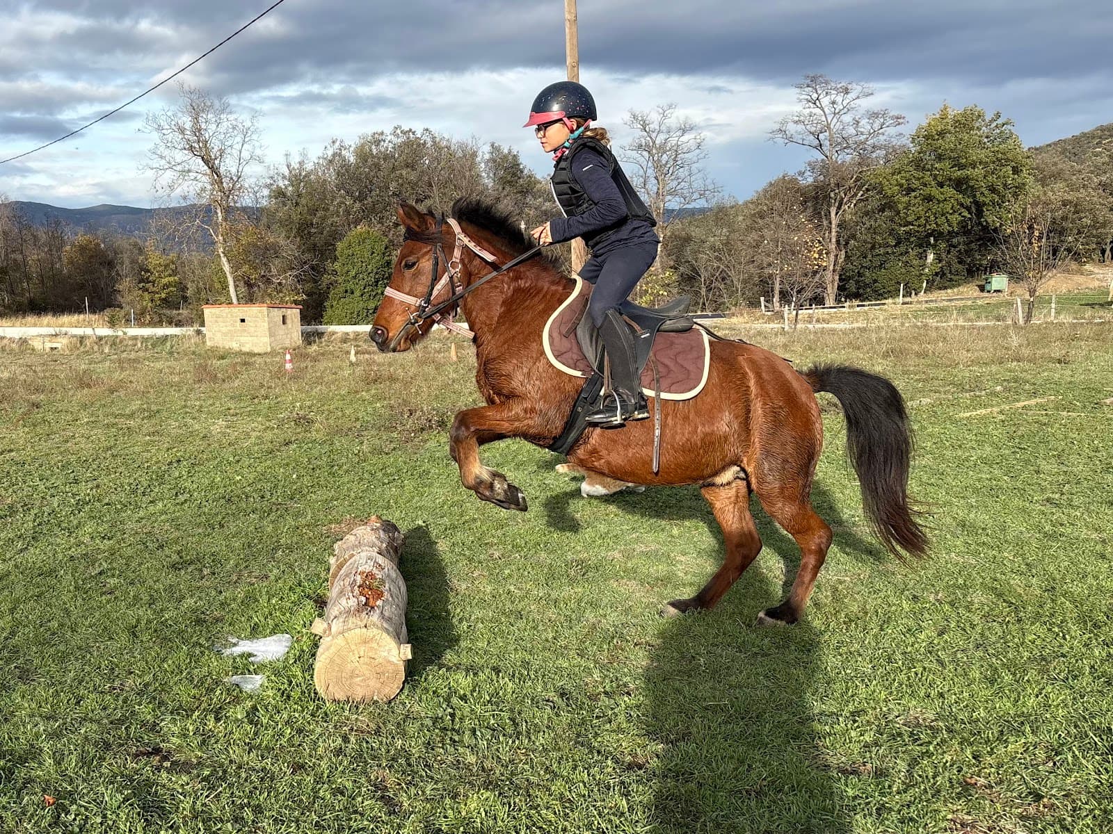 Poney club le pré d'Ananda — photo 1