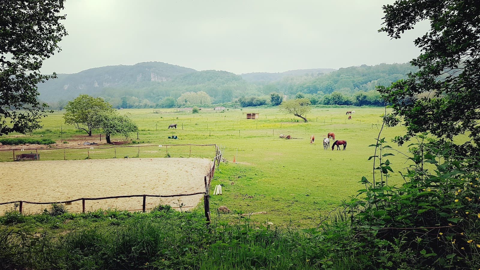 PONEY CLUB LES EYMARIES — photo 1