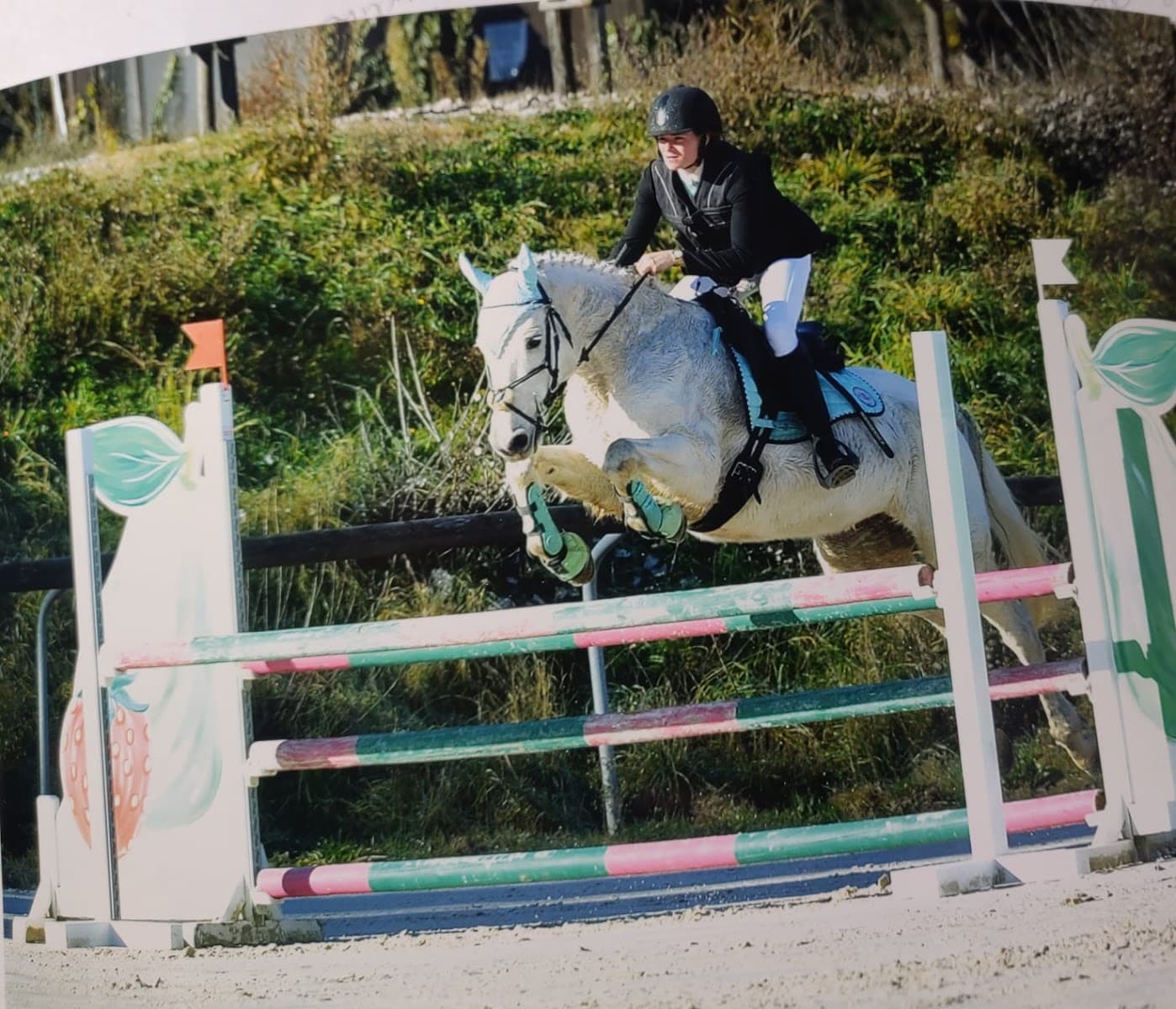 PONY S TEAM — photo 1