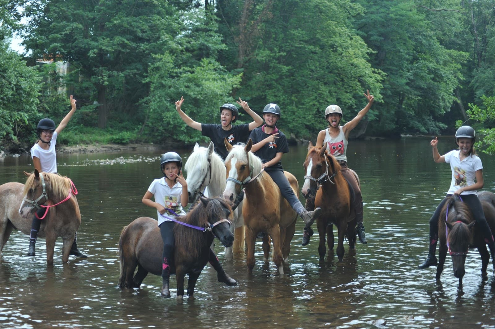 PUNKY PONY CLUB — photo 1
