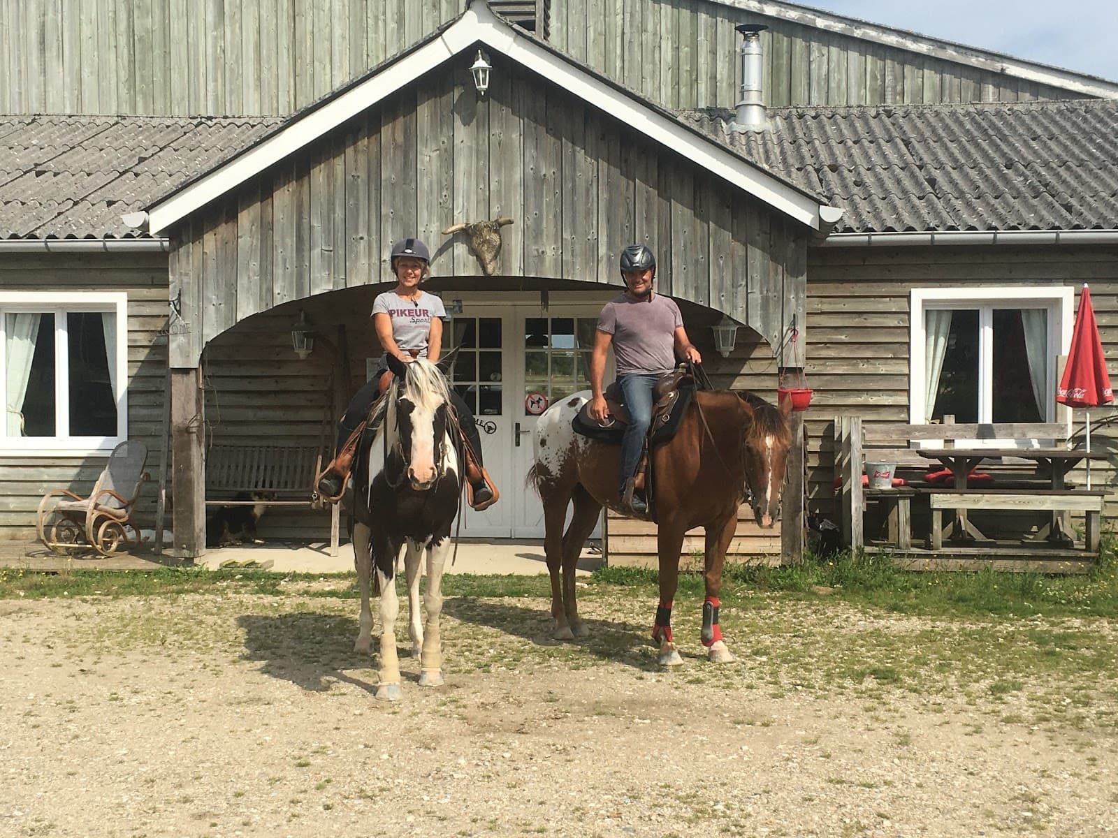 QUARTER HORSE DREAM — photo 1