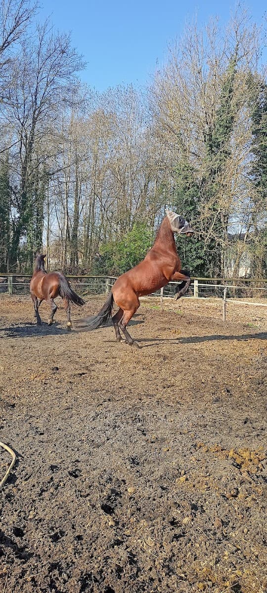 RANCH DU CHATEL — photo 1