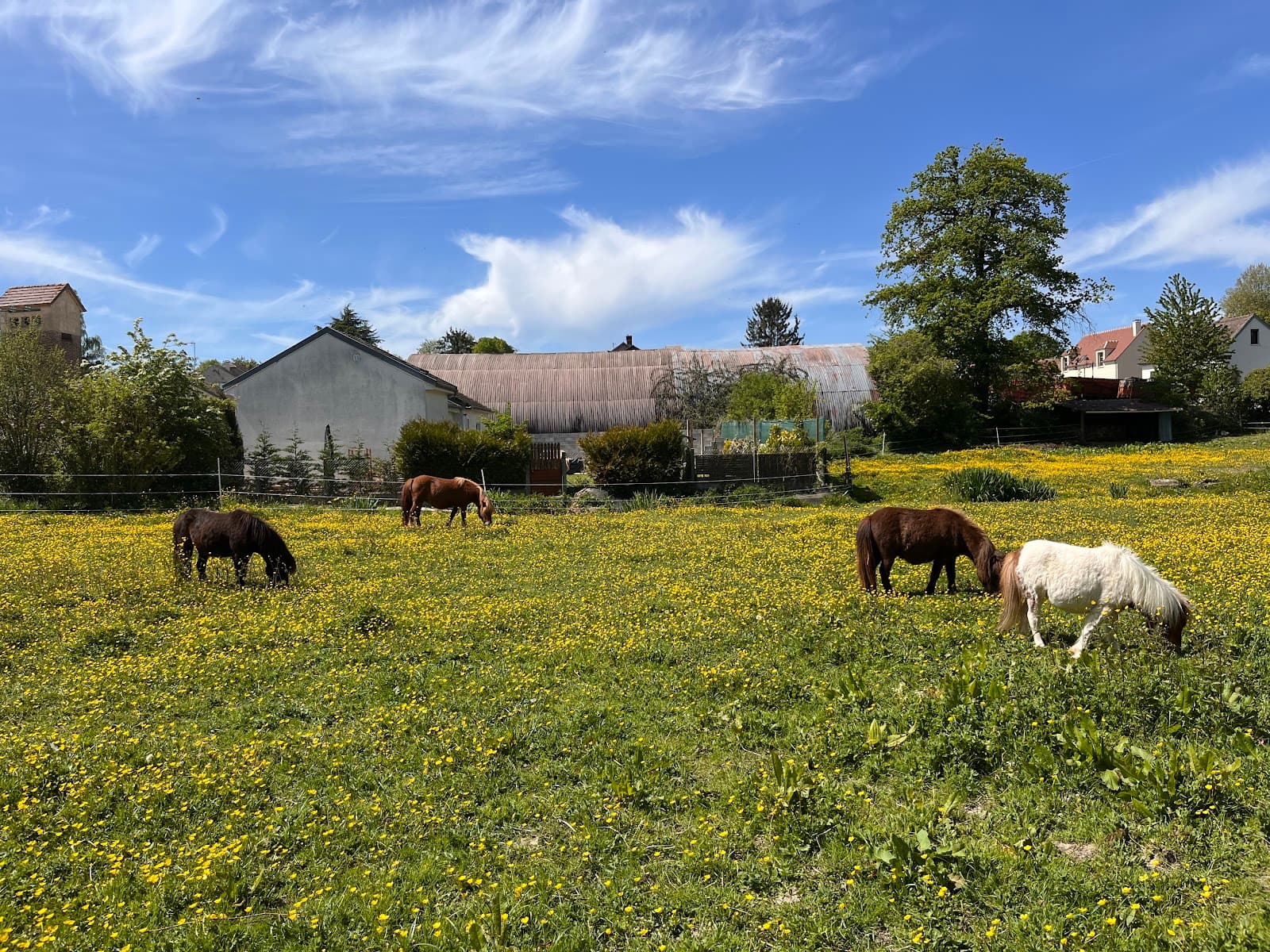 RANCH HARMONIE — photo 1