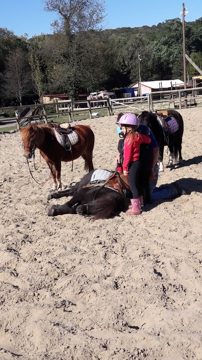 RANCH PF ASSOCIATION — photo 1