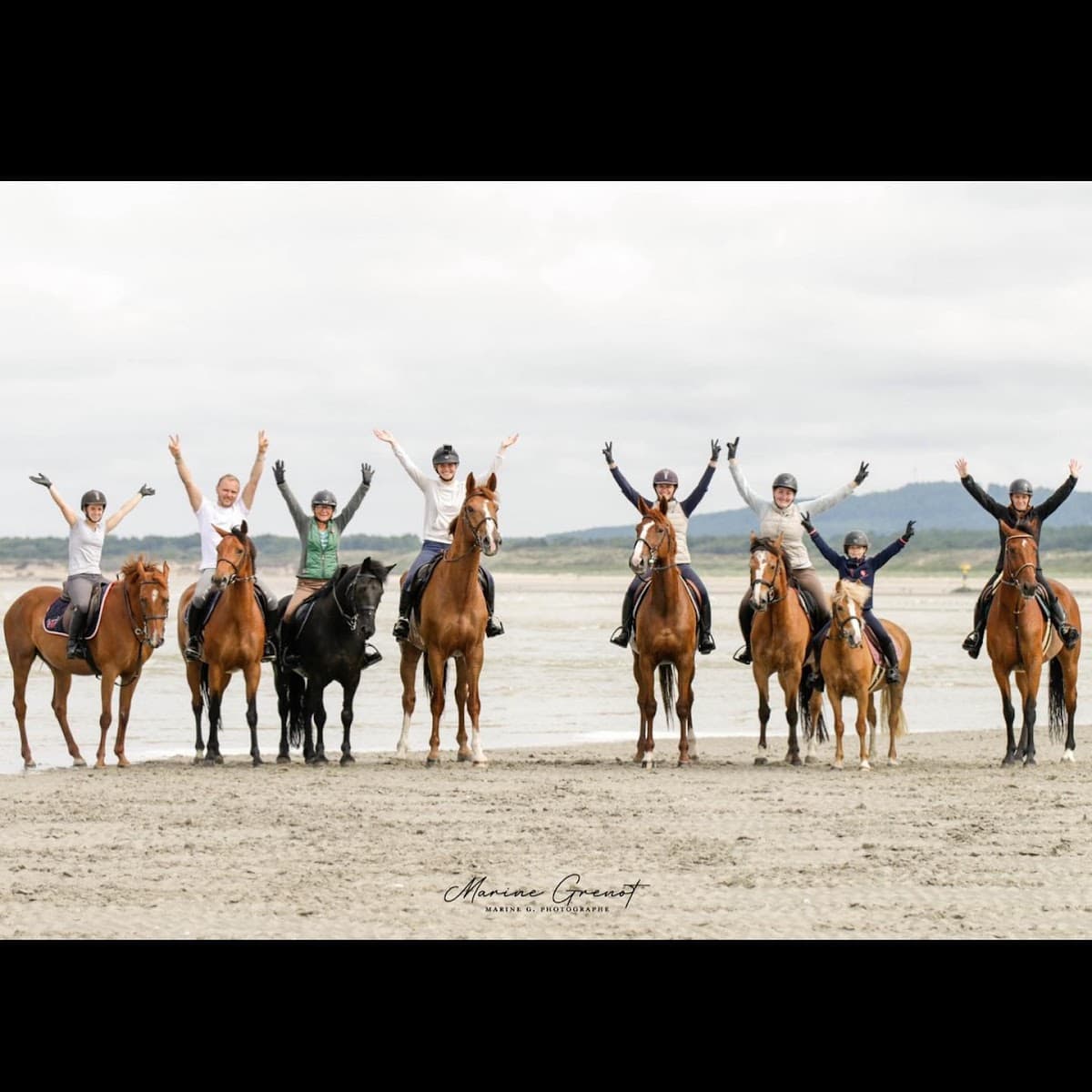 RIVE SPORTHORSES — photo 1