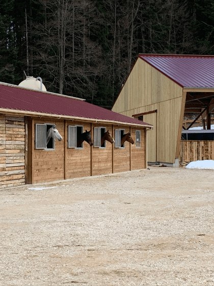 RK Compétition — photo 1