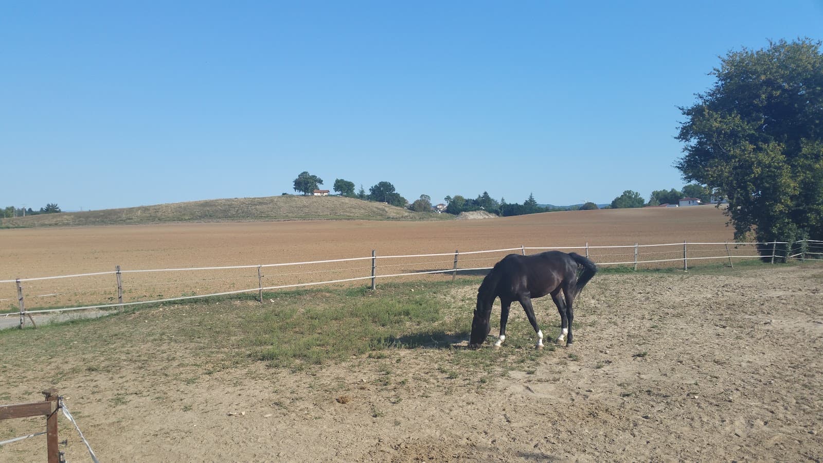 SARL ECURIE DU PETIT PRINCE — photo 1