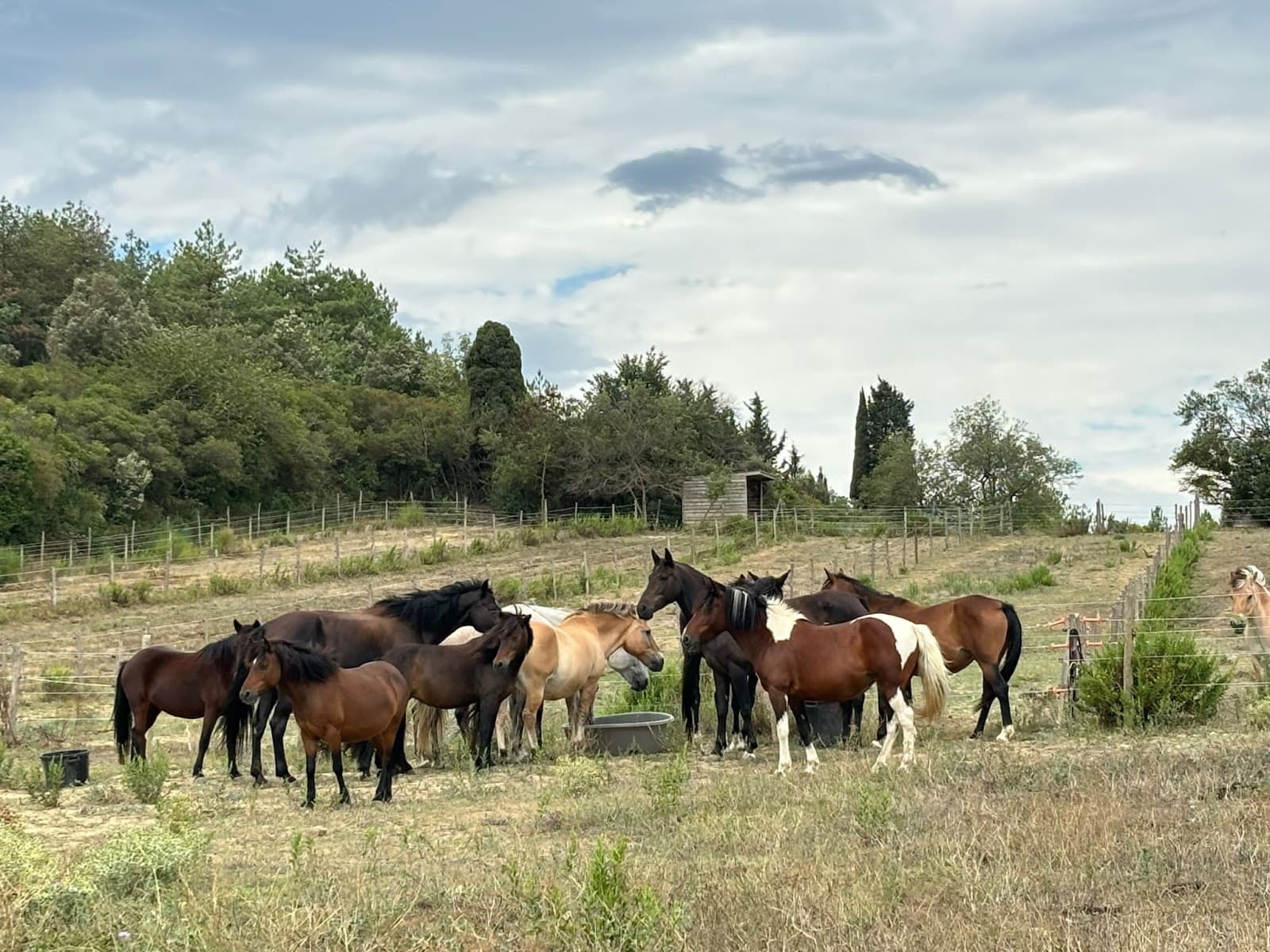 SARL EQUI PASSION — photo 1