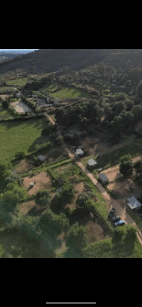 SARL LA FOUNT DEL BOSC ECURIE MURINGER — photo 1