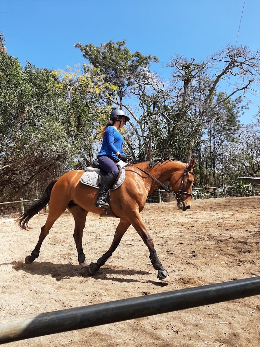 SARL LE PONEY VERT — photo 1