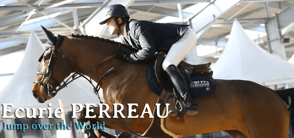 SARL OLIVIER PERREAU — photo 1