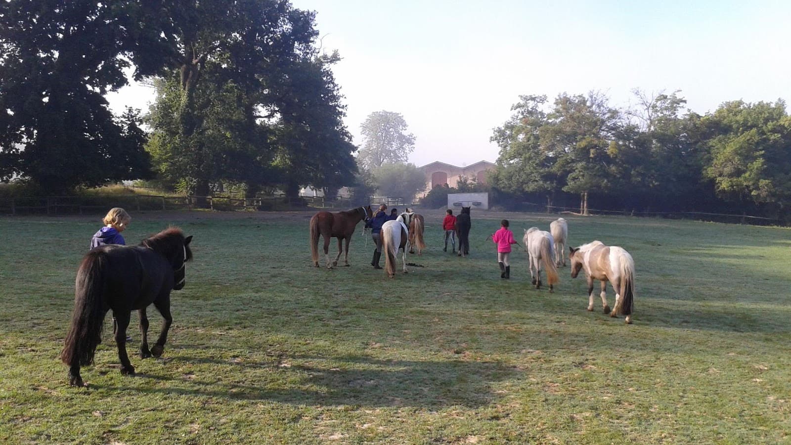 SCEA CENTRE EQUESTRE DE LA BURTHE — photo 1