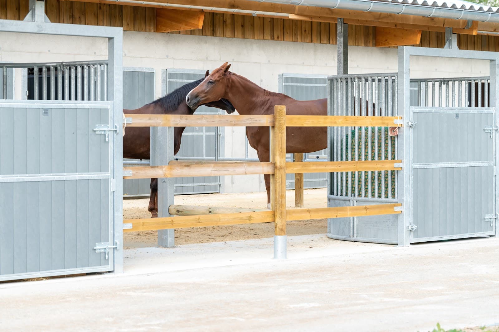 SCEA DU HARAS DE GLOS — photo 1
