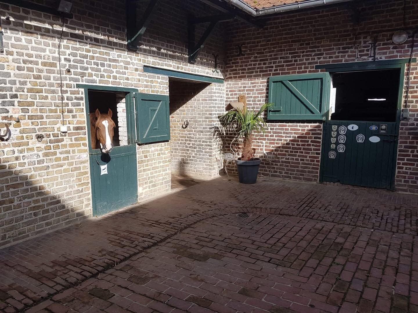 SCEA ECURIES DE RICHEBOURG — photo 1
