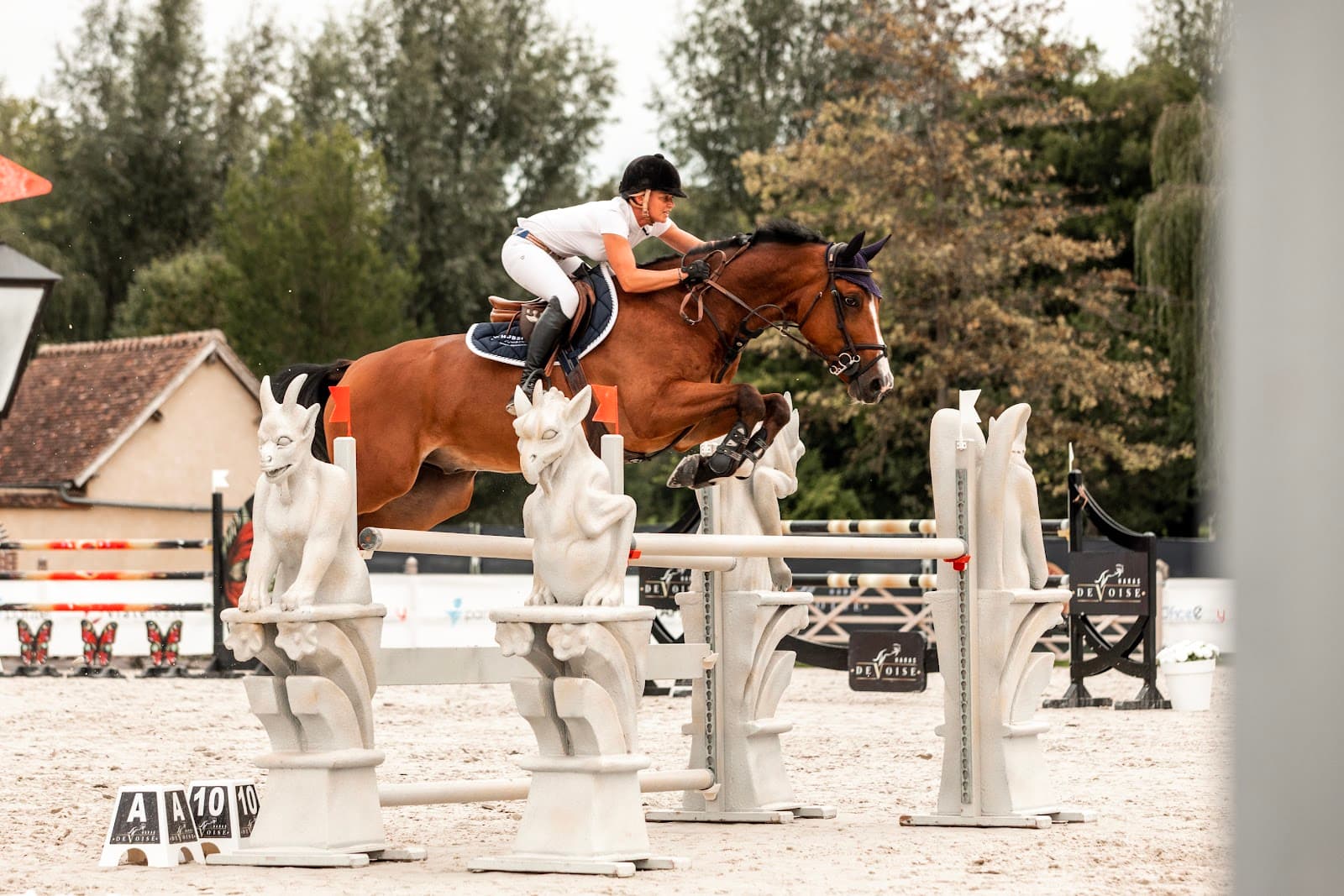 SCEA ELEVAGE DE VOISE — photo 1