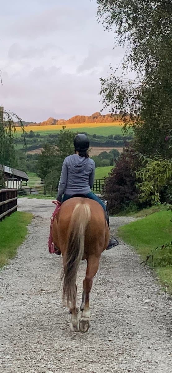 SCEA LE HARAS DU VAL FOUQUE — photo 1