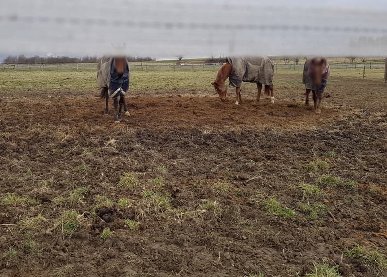 SCEA LES ECURIES DE MARME — photo 1